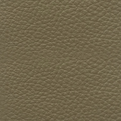 BEIGE DOLLAR TIPSHINE